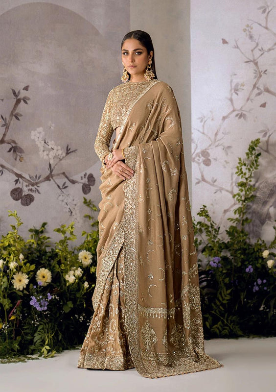 Aik atlier bridal saree collection