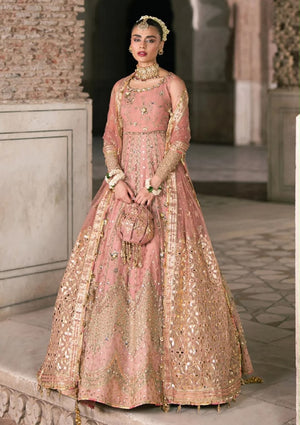 Mohsin Naveed Ranjha pink wedding edition