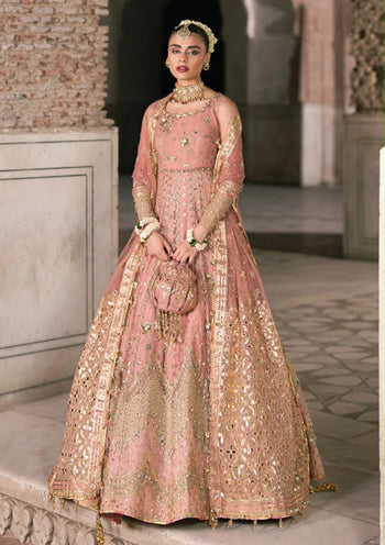 Mohsin Naveed Ranjha pink wedding edition