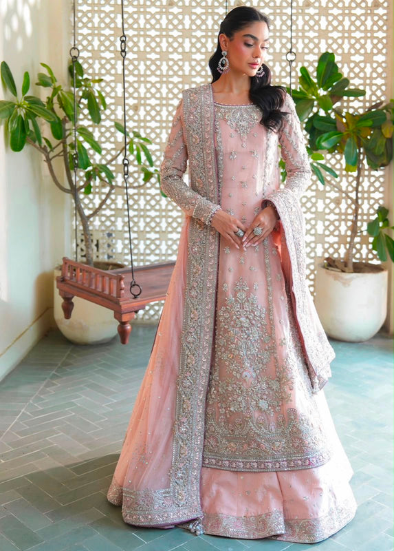 Maria B bridal pink wedding edition
