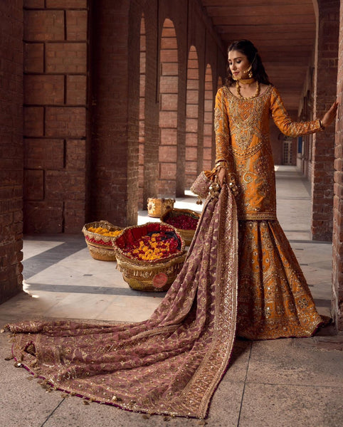 Mohsin Naveed Ranjha rust bridal collection