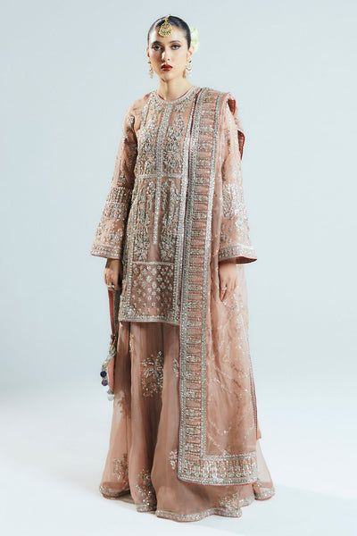 Hussian rehar peach wedding edition