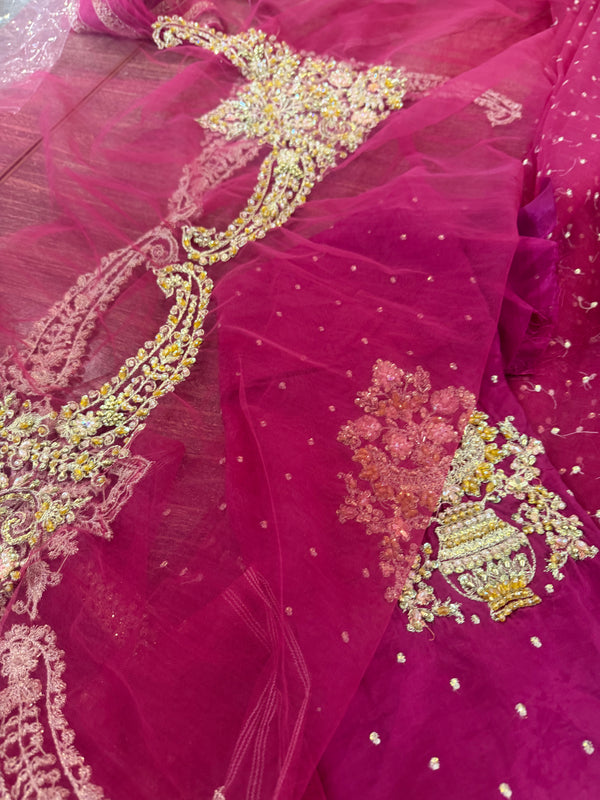 Mina Kashif shocking wedding edition