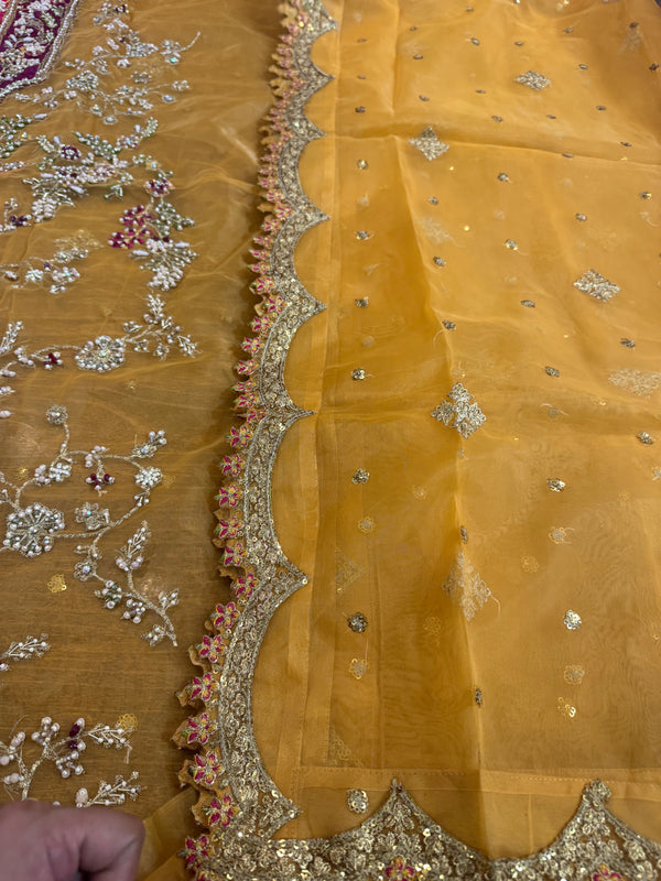Sara rohail golden multi wedding edition