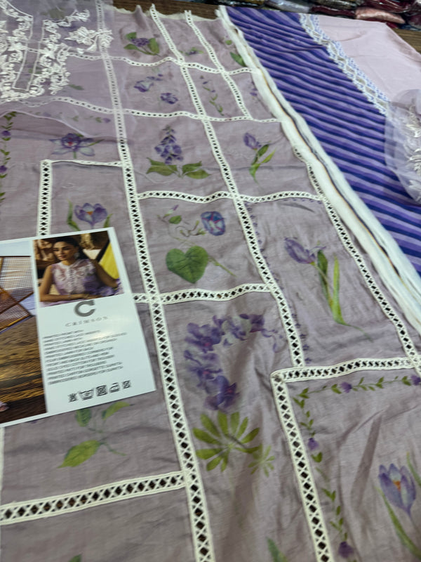 Crimson lilac lawn 2025