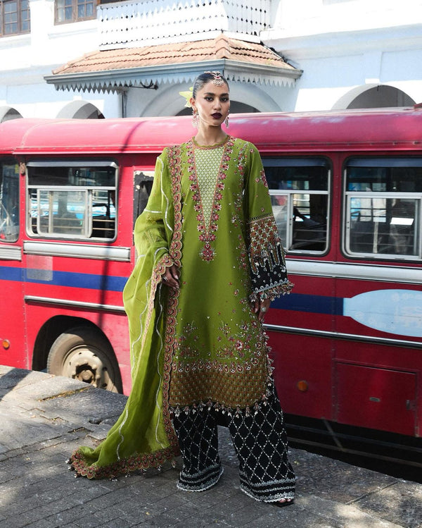 Hussain Rehar parrot lawn 2025