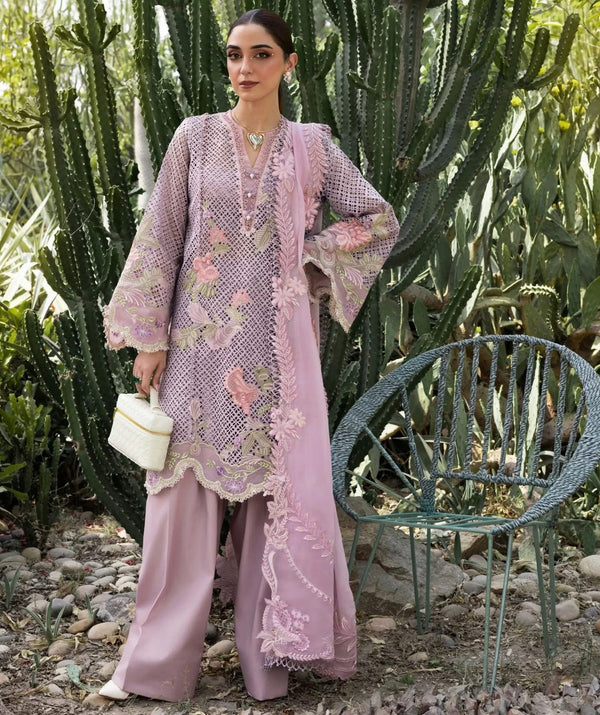 Crimson lilac chickenkari lawn 2025