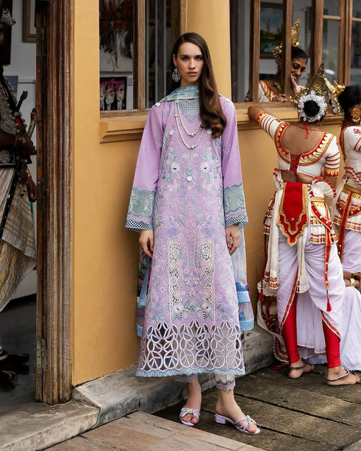 Mushq lilac lawn 2025